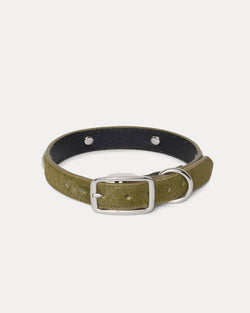 STUDDED DOG COLLAR